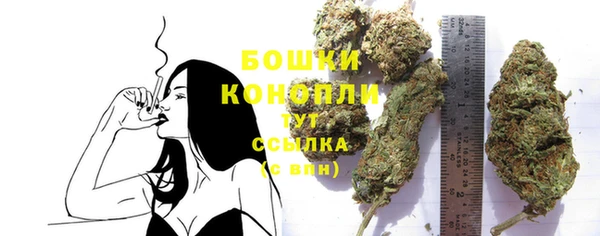 PSILOCYBIN Белокуриха