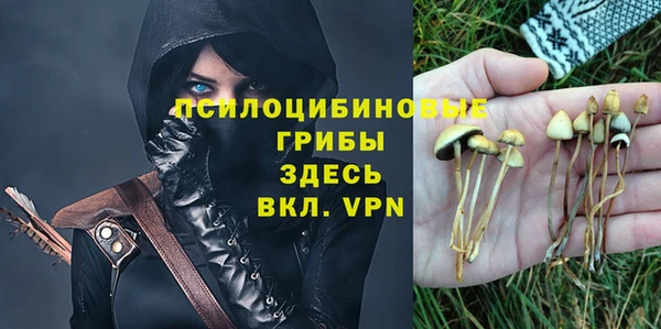 сатива Баксан