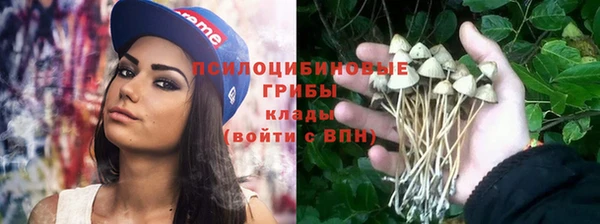 сатива Баксан