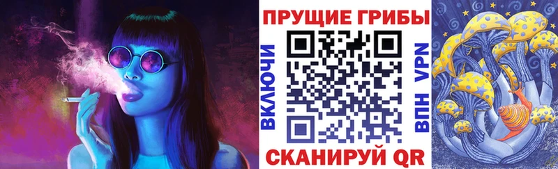 Галлюциногенные грибы мицелий  где можно купить наркотик  Минеральные Воды 
